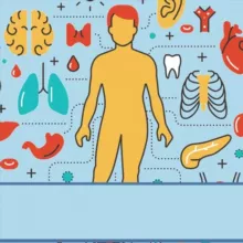 Нормальная и патологическая анатомия