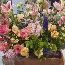 Pr Boudiaf histologie genetique