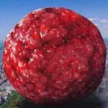 Confesiones canal privado