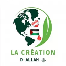 LA CRÉATION D'ALLAH ﷻ