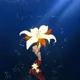 АРХИВ. Листик на голове