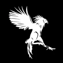 🐓 Chicayán - Criadero de gallos y gallinas