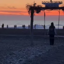 Директор Адлера