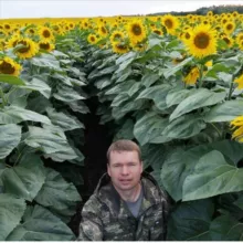 Владимир Плотов