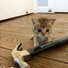 Прогаю крипту