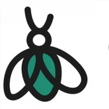 Exuvie - Fabien Moine