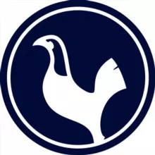 Тоттенхэм Хотспур