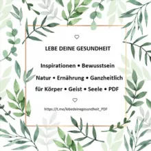 Lebe deine Gesundheit PDF-Info-Kanal