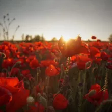 Психотравма війни | Станіславська Тетяна