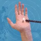 Женщины | Су Джок