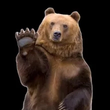 🐾UnerklärBär🐾