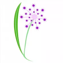 ₽екламируй(ся) | Alium.one