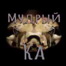 Мудрый Ка | Задачки | Головоломки