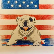 Patient Advocate Bulldog