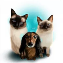 Двое в лодке, не считая собаки