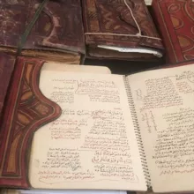 Учёба и Выдержки из книг