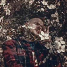 ДОМ НЕ ГУЧЧИ