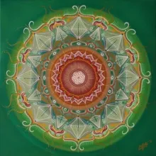 Homöopathie & Naturheilkunde