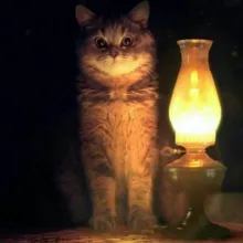 Страшные истории на ночь