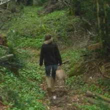 SOLARIS FRANCE - "VEGETAUX"- Informations n°3