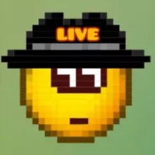 Местный Лудик | Оповещения о запуске эфира 🚨