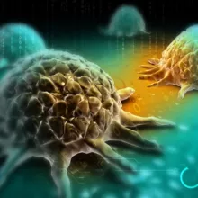 The Truth About Vaccines