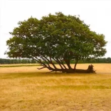 🇲🇾 Engineers Malaysia