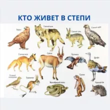 Қазақстанда кім кім