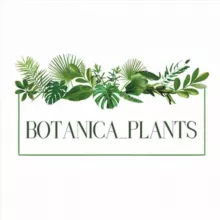 Botanica_plants