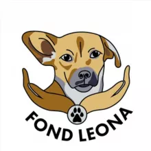 Фонд «Леона»