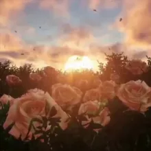 Благодарное сердце