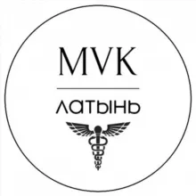 Латинский язык 😝