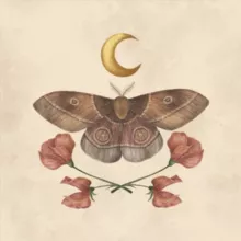 Принцесса из тайги