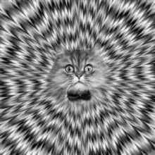 Illusion of deception