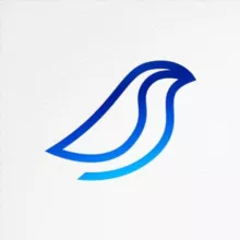 Образование Нового 🦉