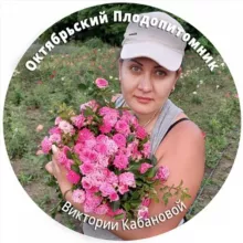 Октябрьский Плодопитомник Виктории Кабановой. Саженцы ОКС