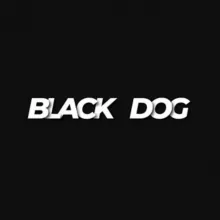 BLACK DOG✖️CLOTHING STORE