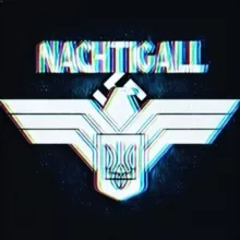 Nachtigall ✙