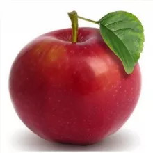 Сад и огород. Дача. Советы агронома