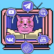 Медиа Сталкер