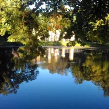 Софи Виге. Что-то про творчество и дурацкие мысли