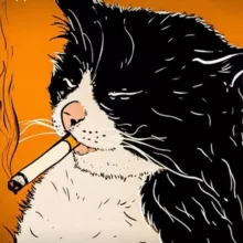 Шерстяные проказники