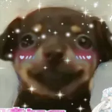 ину значит псина