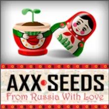 Чат старых Гроверов 😍Магазин семян конопли -Axxseeds.ru👍