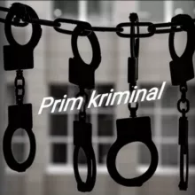 Прим криминал