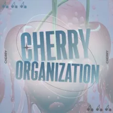 𝗖𝗛𝗘𝗥𝗥𝗬 𝗢𝗥𝗚𝗔𝗡𝗜𝗭𝗔𝗧𝗜𝗢𝗡