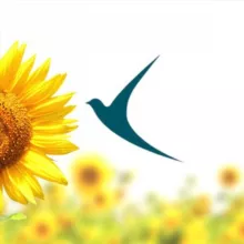 Ayol-qizlarga ma'naviy ko'mak