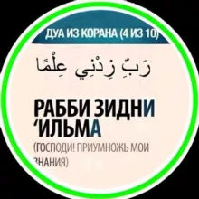 Физиология