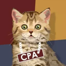 Дайджест CPA