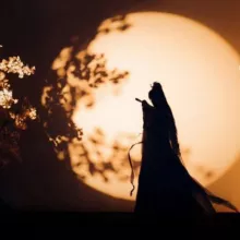 𝐃𝐎𝐑𝐀𝐌𝐀𝐋𝐈𝐅𝐄